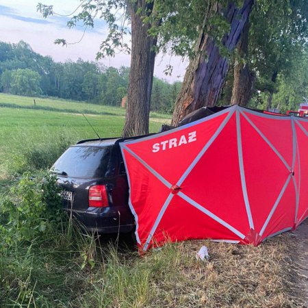 W wypadku w Gucinie zginął 4-letni chłopiec. Szokujące ustalenia prokuratury