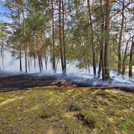 Pożary traw i lasu. Trzy zdarzenia jednej doby, w akcjach 7 jednostek strażackich