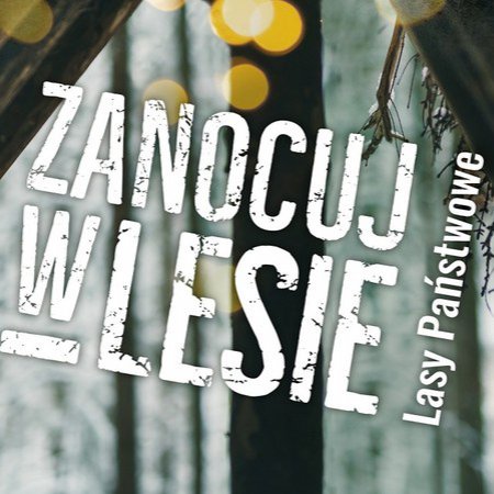 Łatwiej zanocujesz na dziko w Lasach Państwowych