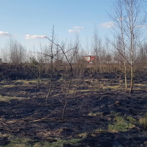 Strażacki raport: Pożary, zabezpieczenie polowej izby przyjęć i złamane drzewo