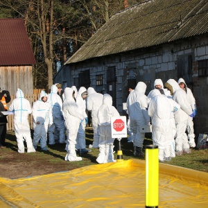 Afrykański Pomór Świń w powiecie – dziś ćwiczono wdrażanie procedur na wypadek wystąpienia wirusa [ZDJĘCIA]