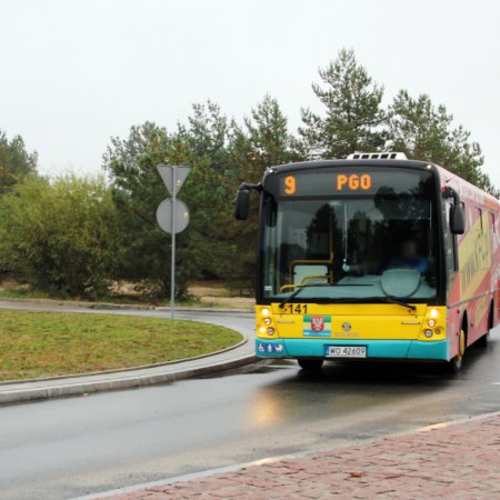 Zmiany w rozkładzie jazdy MZK. Tymi liniami dojedziemy na cmentarz komunalny