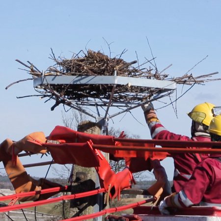 Energa dla bocianów od ponad 25 lat