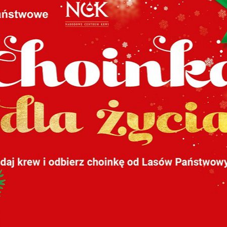 „Choinka dla życia”. Oddaj krew i odbierz choinkę od Lasów Państwowych