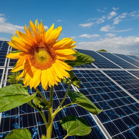 Inwertery oferowane przez Energę Obrót na liście certyfikowanych urządzeń PTPiREE