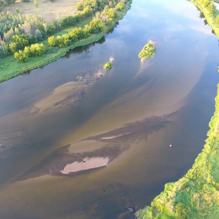 Niski poziom rzeki Narew [WIDEO]