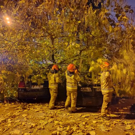 Strażacy w akcji. Pięciokrotni usuwano drzewa powalone przez silny wiatr