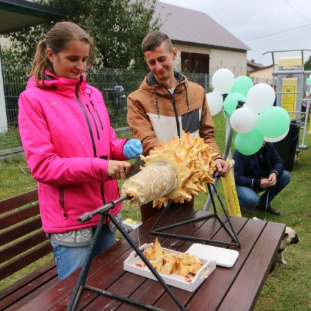 W Teodorowie bawili się na pikniku rodzinnym [ZDJĘCIA]