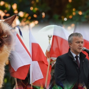 Program opieki nad zwierzętami i... nieoczekiwana poprawka. Kotowski: "Czuję się trochę nieswojo"