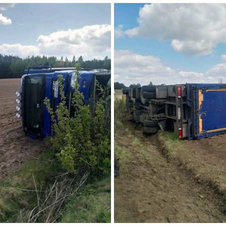 Wypadek ciężarówki przewożącej świnie pod Miastkowem [ZDJĘCIA]