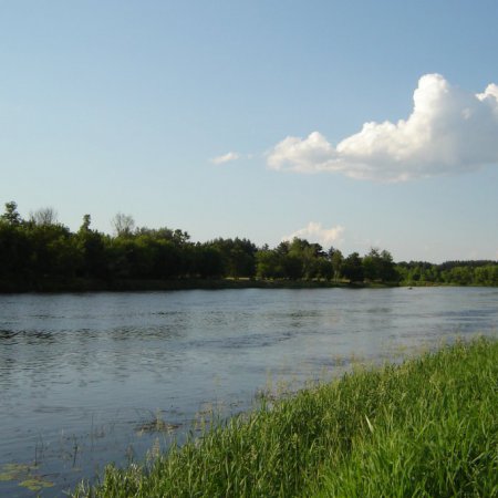 Czyją czaszkę odnaleziono w Kamiance w rzece Narew? Śledztwo zakończone. Znamy opinię biegłego