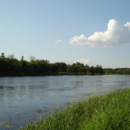 Czyją czaszkę znaleziono w rzece Narew? Sprawę bada prokuratura