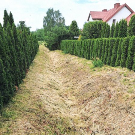 Radny poruszył ważne sprawy osiedla Stacja. Budowy na razie nie będzie, ale udrożniono rów