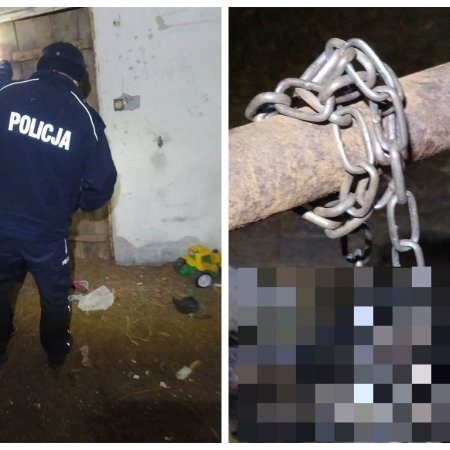 Powieszony pies w gminie Czerwin. Interweniowała fundacja i organy ścigania. Znamy szczegóły [ZDJĘCIA 18+]