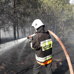 W Golance spłonęło blisko 3 hektary lasu [ZDJĘCIA]