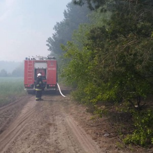 Interwencje w Dzień Strażaka. Trzy pożary i zerwany przewód energetyczny