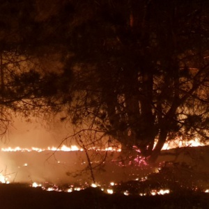 Strażacy z regionu gasili dwa pożary typowe dla dwóch pór roku