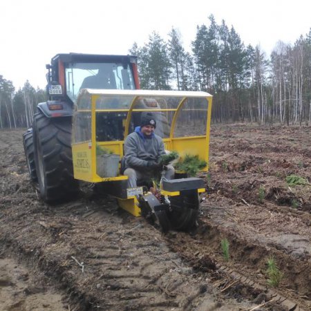 Czas odnowień w lasach. 500 tysięcy sadzonek różnych gatunków drzew i krzewów [ZDJĘCIA]