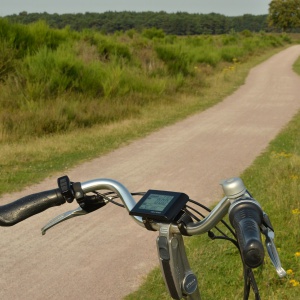 Ścieżka rowerowa z Łęgu do Kurpiewskich? To propozycja radnego powiatu