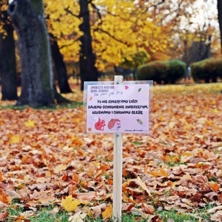 Tu nie sprzątamy liści. Dajemy schronienie zwierzętom [ZDJĘCIA]