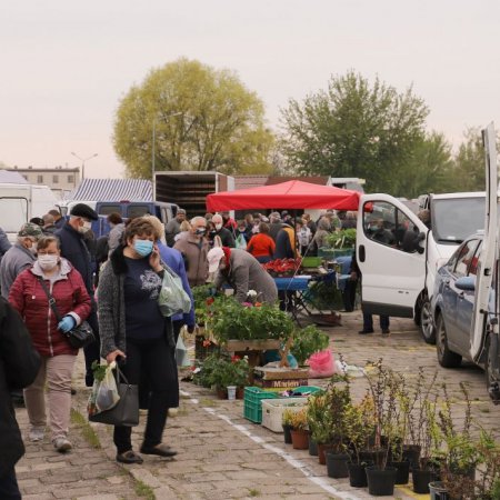 Miejskie Targowisko w Ostrołęce od dziś na nowych zasadach [ZDJĘCIA]