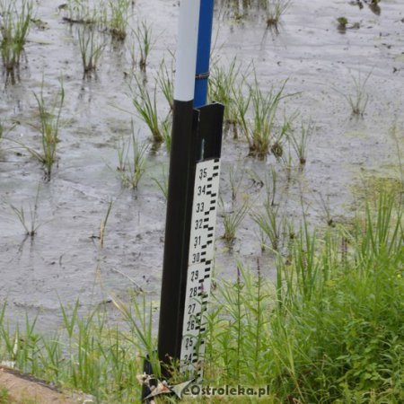 Dramatycznie niski poziom wody w Narwi w Ostrołęce!
