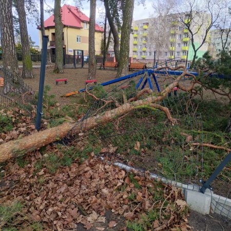 Zniszczony wybieg dla psów w miejskim parku [ZDJĘCIA]