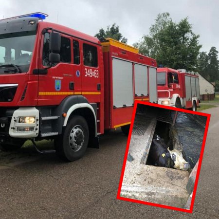 Nietypowa akcja ratunkowa strażaków z OSP Wydmusy [ZDJĘCIA]