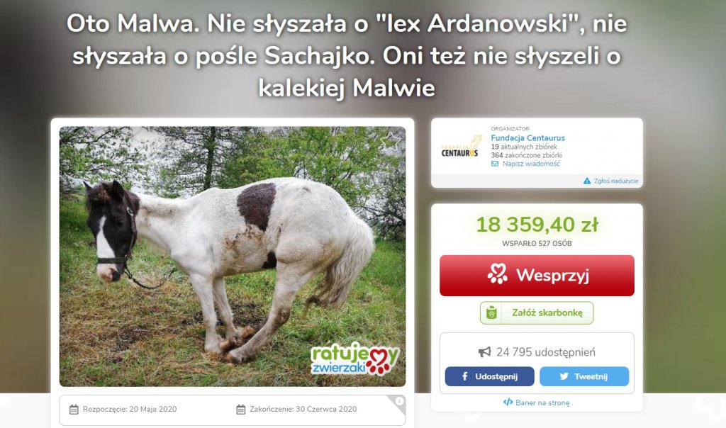 fot. ratujemyzwierzaki.pl