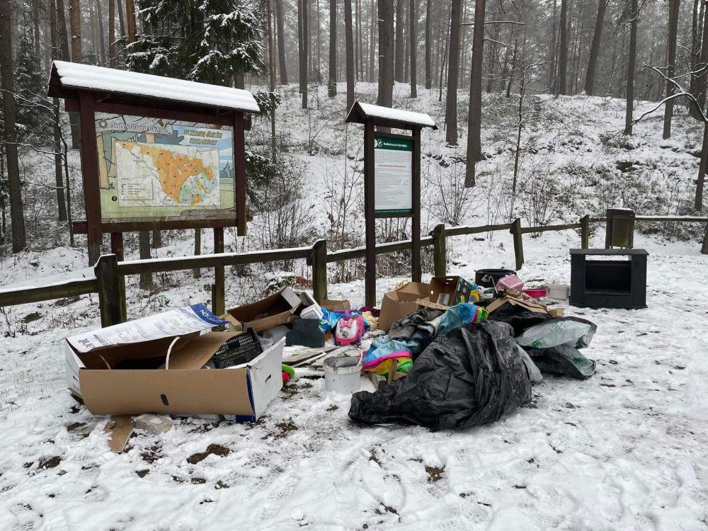 fot. Nadleśnictwo Ostrołęka