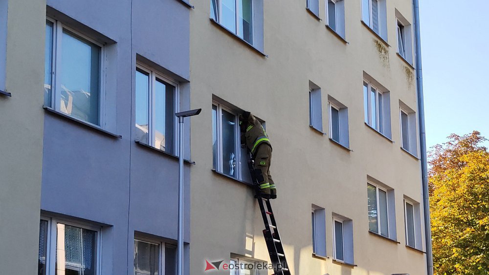 zdjęcie ilustracyjne, fot. eOstroleka.pl