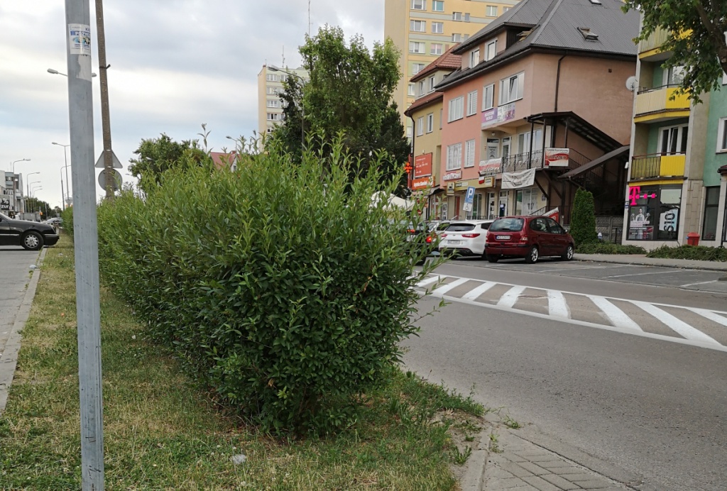 A tak wyglądał 2 lipca, fopt. Czytelnik